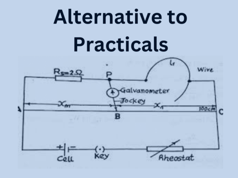 What you need to know about alternative to practicals