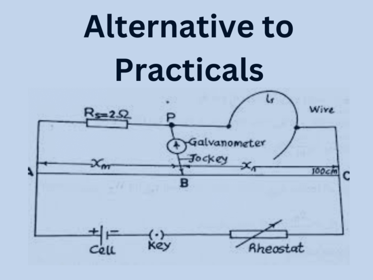 alternative-to-practicals-2-1